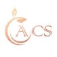 ACS Property Cleaning LLC logo image