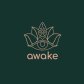 Awake Store logo image