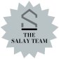 The Salay Team logo image