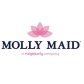 Molly Maid of South Davidson Williamson &amp; Maury Counties logo image