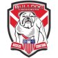 Bulldog Locksmith &amp; Access Control logo image