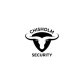 Chisholm Security logo image