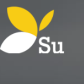 Suissu - Channel Manager logo image