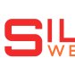 SilverWebBuzz PVT Ltd logo image